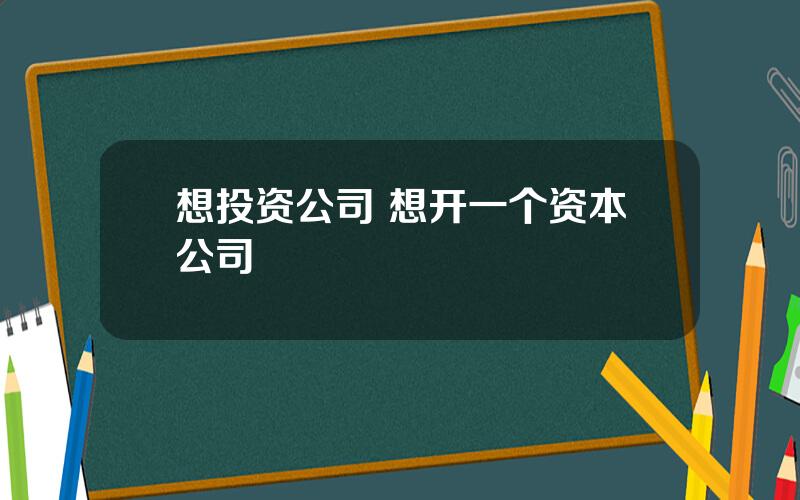 想投资公司 想开一个资本公司